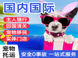 朔州机场物流国际宠物托运 【国